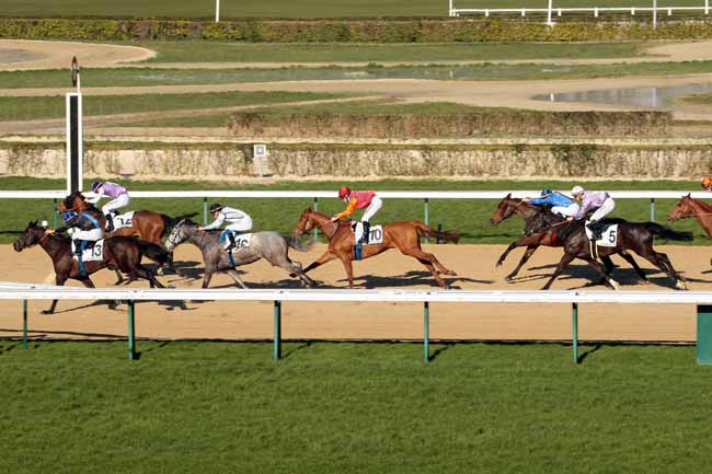 Arrivée quinté pmu PRIX DU CAP DE LA HAGUE à DEAUVILLE
