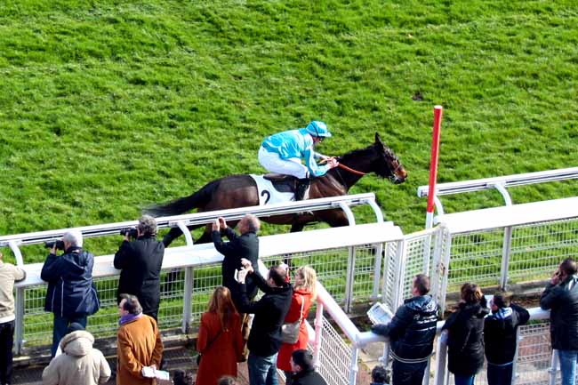Arrivée quinté pmu PRIX JUIGNE à AUTEUIL