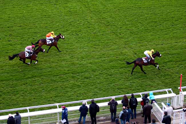 Arrivée quinté pmu PRIX JEAN DOUMEN à AUTEUIL