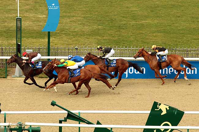 Arrivée quinté pmu PRIX BAB AL SHAMS DESERT RESORT & SPA à CHANTILLY