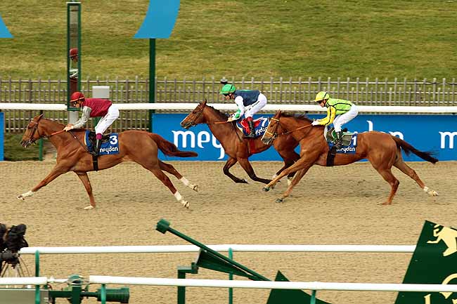 Arrivée quinté pmu PRIX MEYDAN GOLF CLUB à CHANTILLY