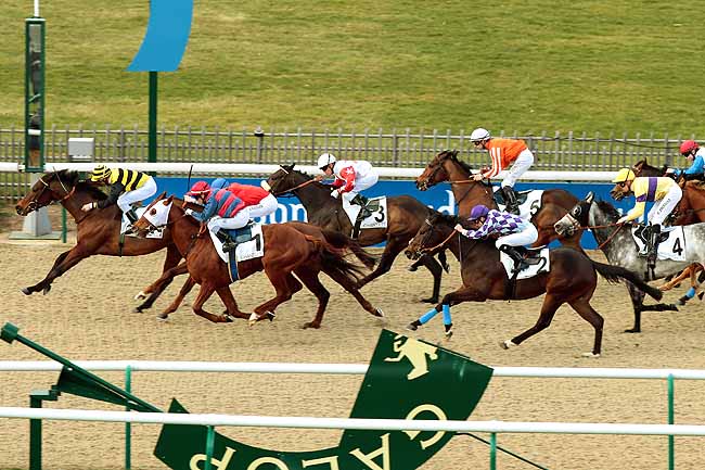 Arrivée quinté pmu PRIX DE LA NOUVELLE PISTE DE CHANTILLY à CHANTILLY