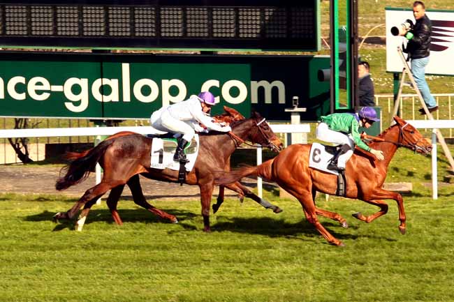 Arrivée quinté pmu PRIX GAZALA à SAINT-CLOUD