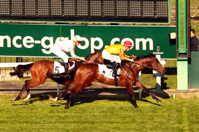 Arrivée quinté pmu PRIX D'AIGREMONT à SAINT-CLOUD