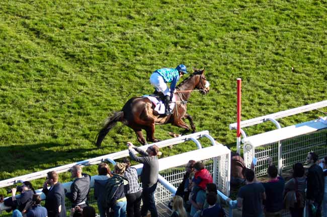 Arrivée quinté pmu PRIX VENTRILOQUE à AUTEUIL