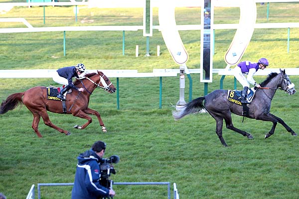 Arrivée quinté pmu PRIX DE LA FEDERATION DU NORD à COMPIEGNE