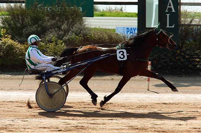 Arrivée quinté pmu PRIX DE LA FEDERATION ANJOU-MAINE CENTRE à LAVAL