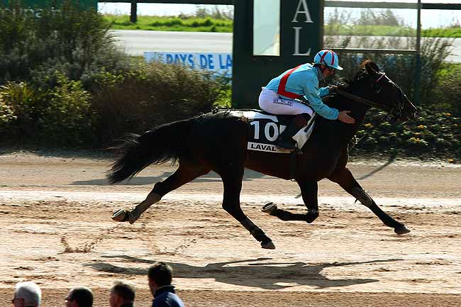 Arrivée quinté pmu PRIX DE LA SOCIETE DU CHEVAL FRANCAIS à LAVAL