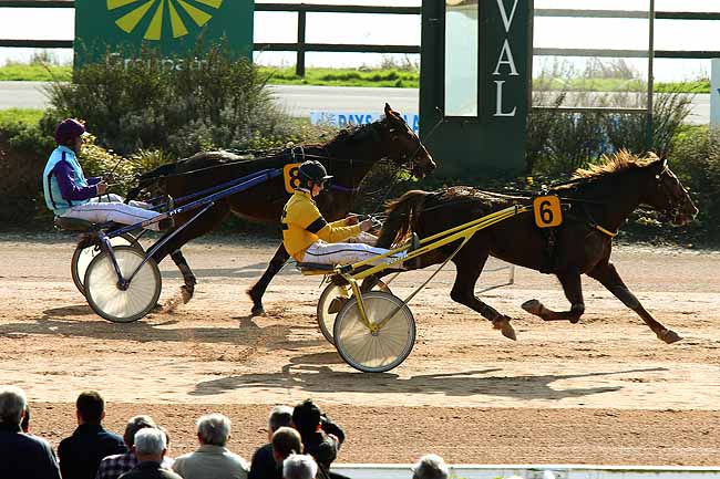 Arrivée quinté pmu PRIX DU JOURNAL GENYCOURSES  (GR A) à LAVAL