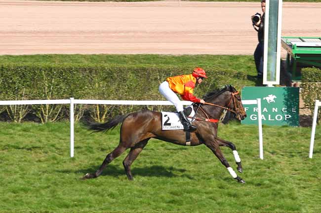 Arrivée quinté pmu PRIX COUREUSE DE NUIT à ENGHIEN