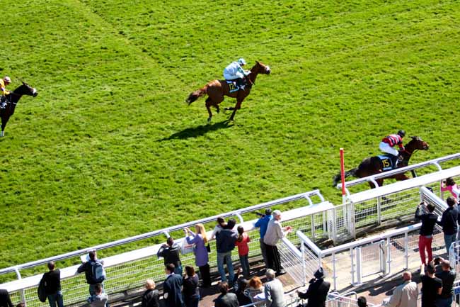 Arrivée quinté pmu PRIX DU JOURNAL GENYCOURSES - PRIX RUSH à AUTEUIL