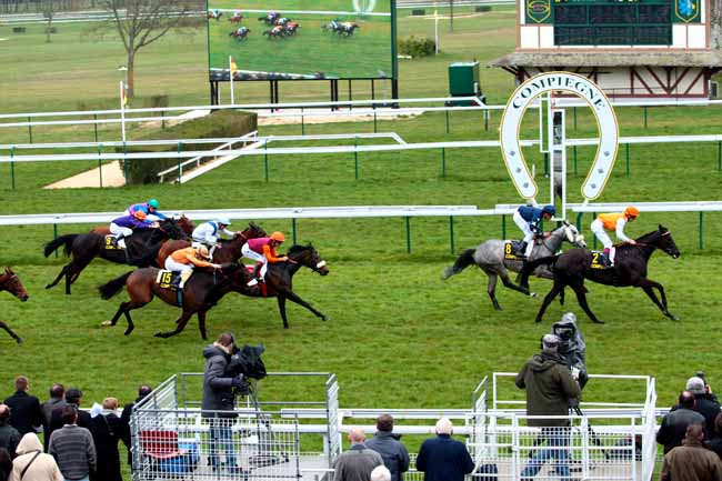 Arrivée quinté pmu PRIX BENJAMIN BOUTIN à COMPIEGNE