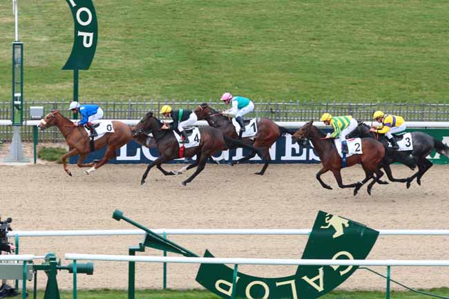 Arrivée quinté pmu PRIX DU HARAS AU BOIS à CHANTILLY
