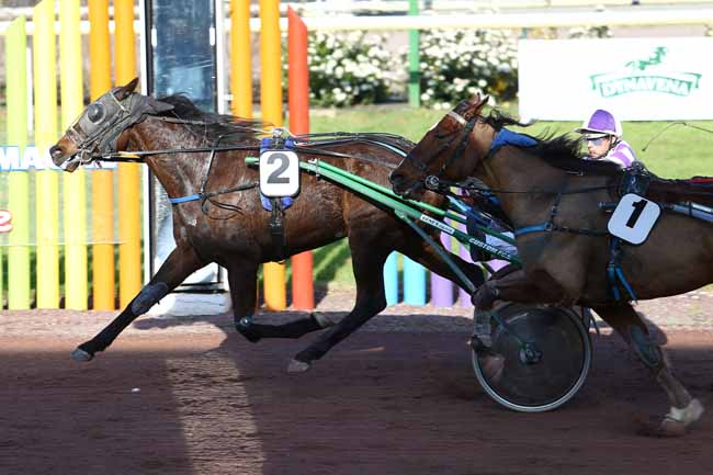 Arrivée quinté pmu PRIX DE LA GARONNE à BEAUMONT-DE-LOMAGNE