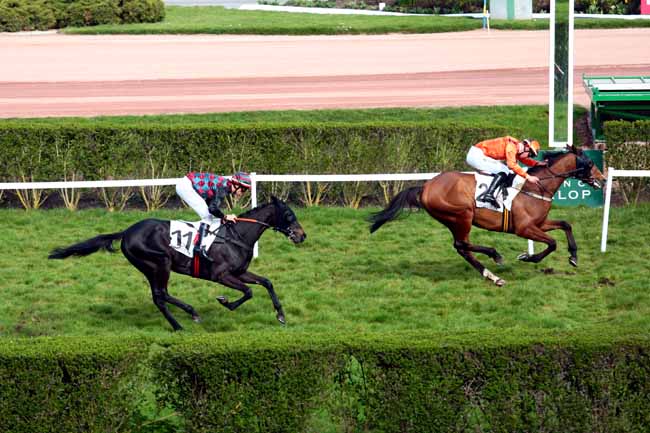 Arrivée quinté pmu PRIX DE BORELY à ENGHIEN