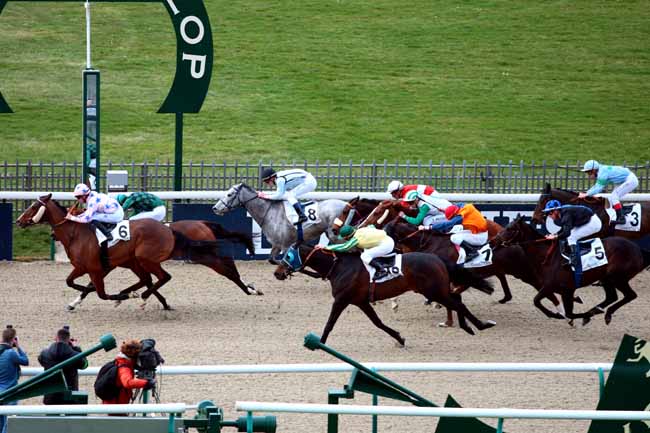 Arrivée quinté pmu PRIX DU TERRAIN DE MANOEUVRES à CHANTILLY