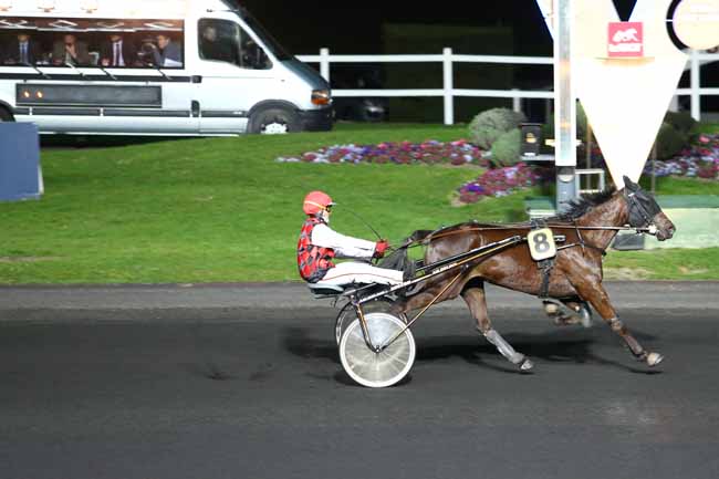 Arrivée quinté pmu PRIX ALCYONE à PARIS-VINCENNES