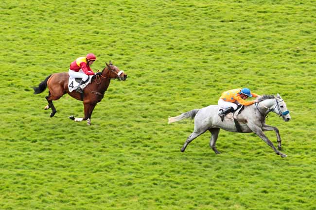 Arrivée quinté pmu PRIX LUTTEUR III à AUTEUIL