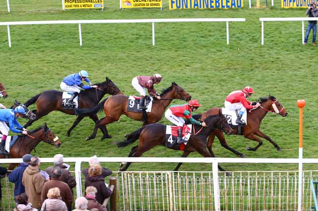 Arrivée quinté pmu PRIX DES IFS à FONTAINEBLEAU