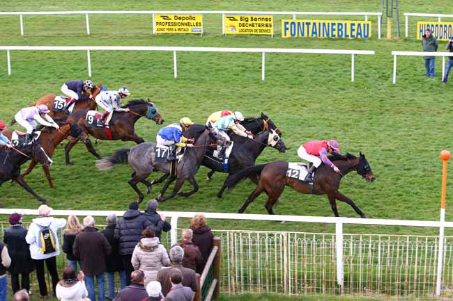 Arrivée quinté pmu PRIX DE LA DAME JOUANNE à FONTAINEBLEAU