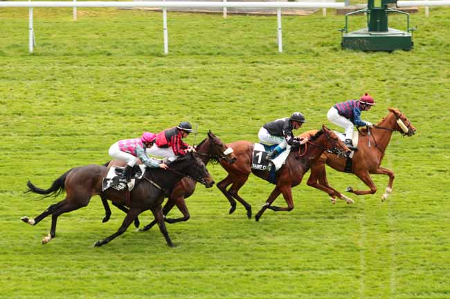 Arrivée quinté pmu PRIX DU VESINET à SAINT-CLOUD