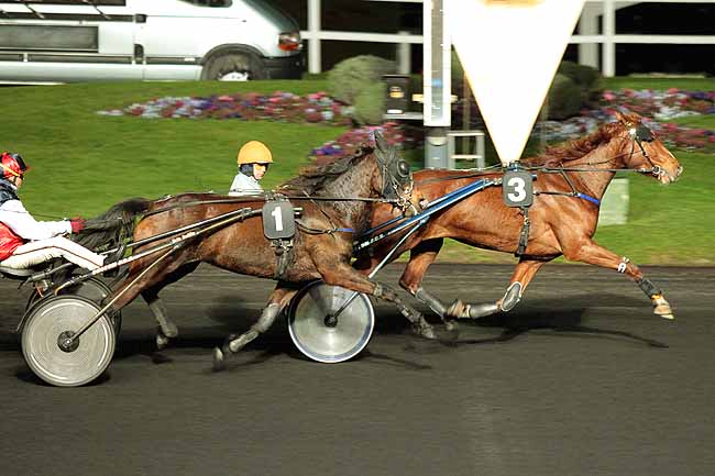 Arrivée quinté pmu PRIX APPOLONIA à PARIS-VINCENNES