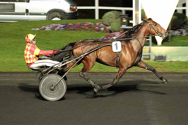 Arrivée quinté pmu PRIX MARTHA à PARIS-VINCENNES