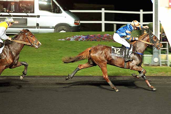 Arrivée quinté pmu PRIX ALGEIBA à PARIS-VINCENNES