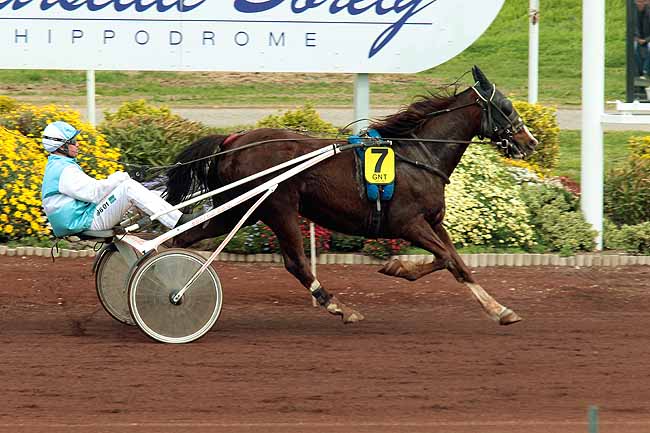 Arrivée quinté pmu GRAND NATIONAL DU TROT - PARIS-TURF à MARSEILLE-BORELY