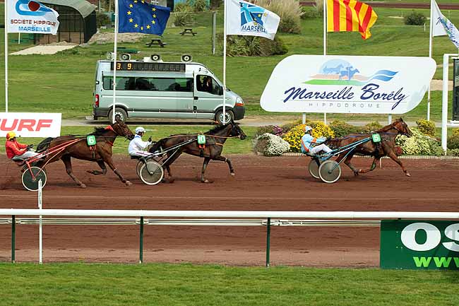 Arrivée quinté pmu PRIX DE CASSIS à MARSEILLE-BORELY