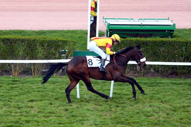 Arrivée quinté pmu PRIX DE PRECHAC à ENGHIEN