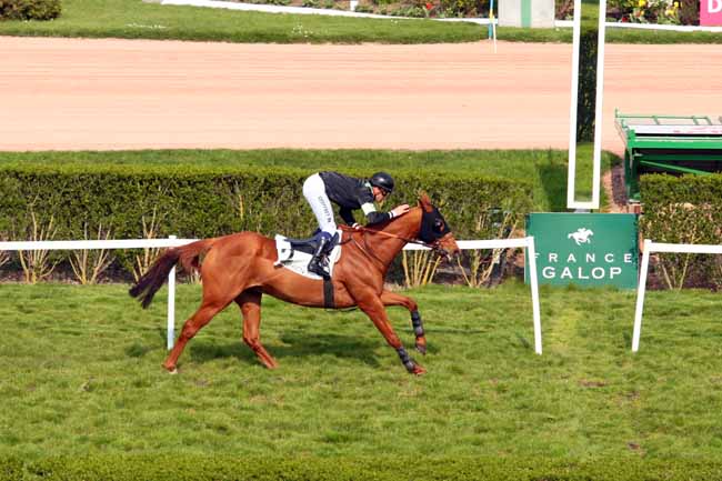 Arrivée quinté pmu PRIX PAMPHILOS à ENGHIEN