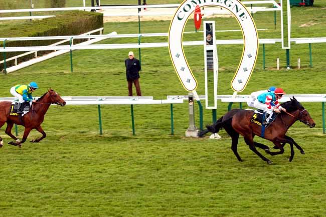 Arrivée quinté pmu PRIX D'ARRAS à COMPIEGNE