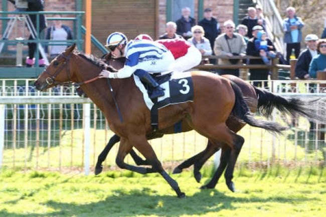 Arrivée quinté pmu PRIX DE HERICY-SUR-SEINE à FONTAINEBLEAU