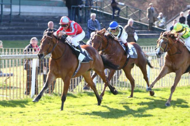 Arrivée quinté pmu PRIX COR DE CHASSE à FONTAINEBLEAU