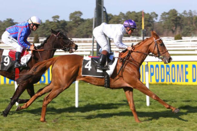 Arrivée quinté pmu PRIX DES MELEZES à FONTAINEBLEAU
