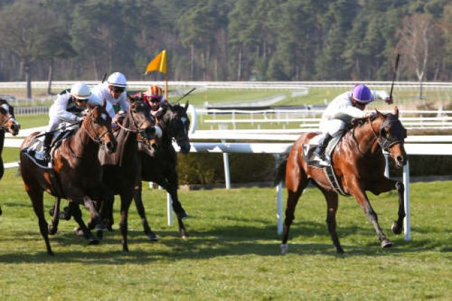 Arrivée quinté pmu PRIX DE MONTEREAU à FONTAINEBLEAU