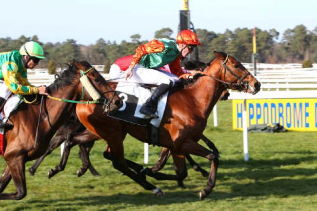 Arrivée quinté pmu PRIX DES CYPRES à FONTAINEBLEAU