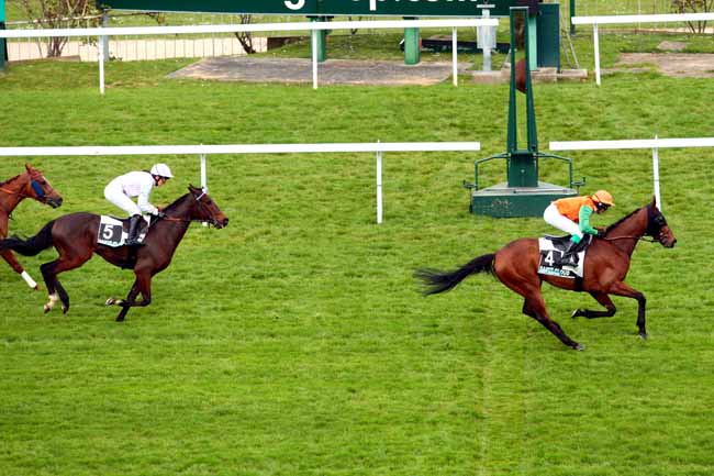 Arrivée quinté pmu PRIX DU JOURNAL GENYCOURSES - PRIX DE PENTHESILEE à SAINT-CLOUD