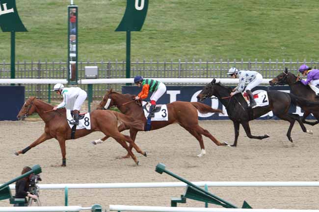Arrivée quinté pmu PRIX DU BU à CHANTILLY