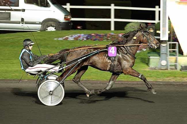 Arrivée quinté pmu PRIX AUGUSTA à PARIS-VINCENNES
