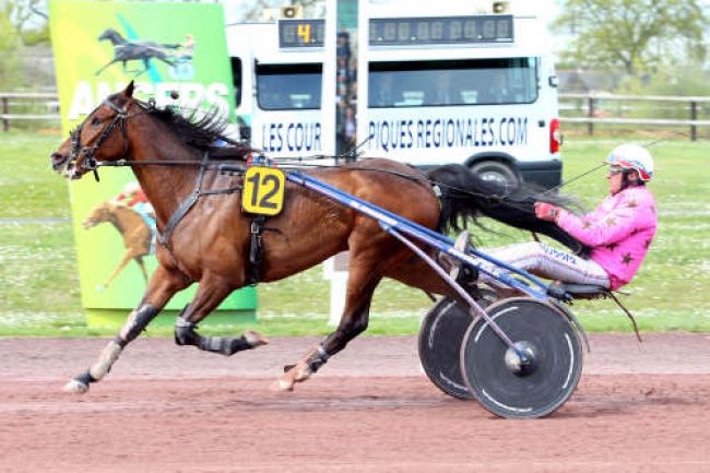 Arrivée quinté pmu GRAND PRIX ANGERS-LOIRE METROPOLE à ANGERS
