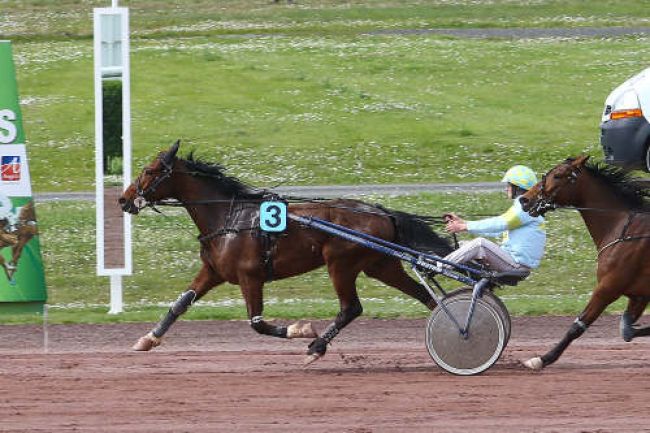 Arrivée quinté pmu PRIX GELINOTTE (GR B) à ANGERS