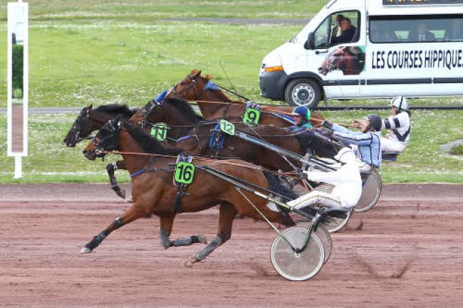 Arrivée quinté pmu PRIX OSCAR RL à ANGERS