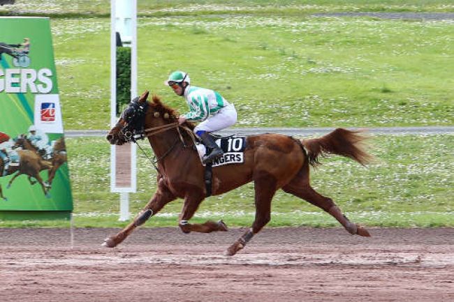 Arrivée quinté pmu PRIX NERIC BARBES à ANGERS