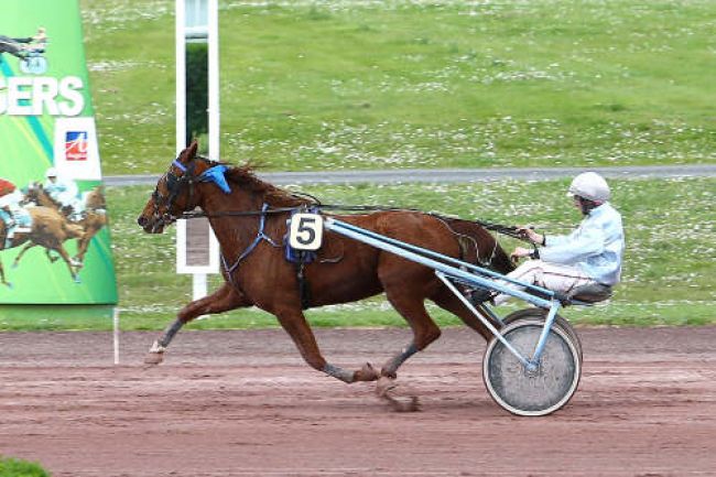 Arrivée quinté pmu PRIX OLINUS à ANGERS