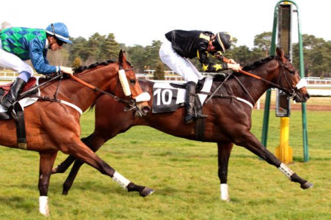 Arrivée quinté pmu PRIX DE MILLY-LA-FORET à FONTAINEBLEAU