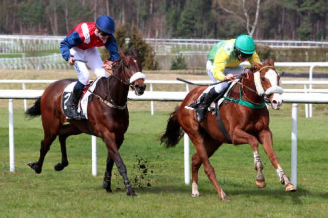 Arrivée quinté pmu PRIX D'ENGHIEN à FONTAINEBLEAU