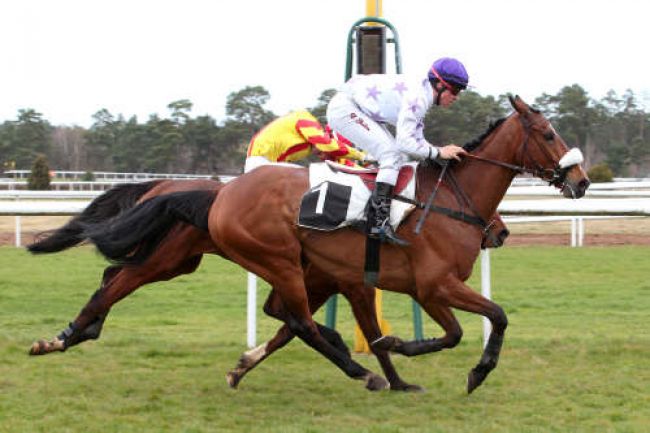 Arrivée quinté pmu PRIX THIERRY CLEMENT à FONTAINEBLEAU