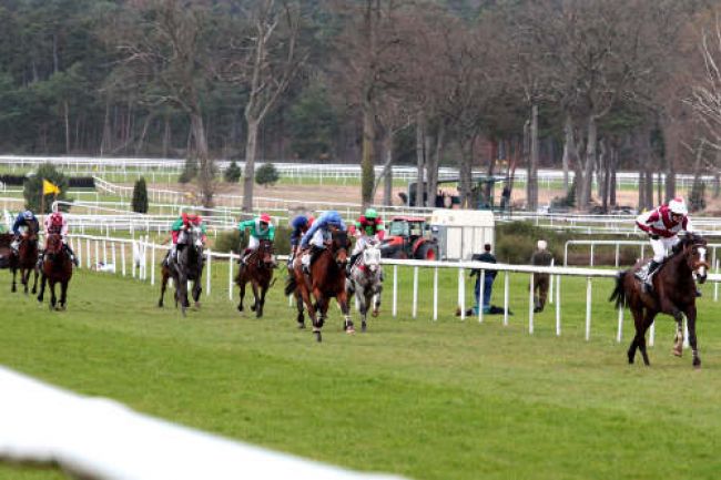 Arrivée quinté pmu PRIX DE BARBIZON à FONTAINEBLEAU